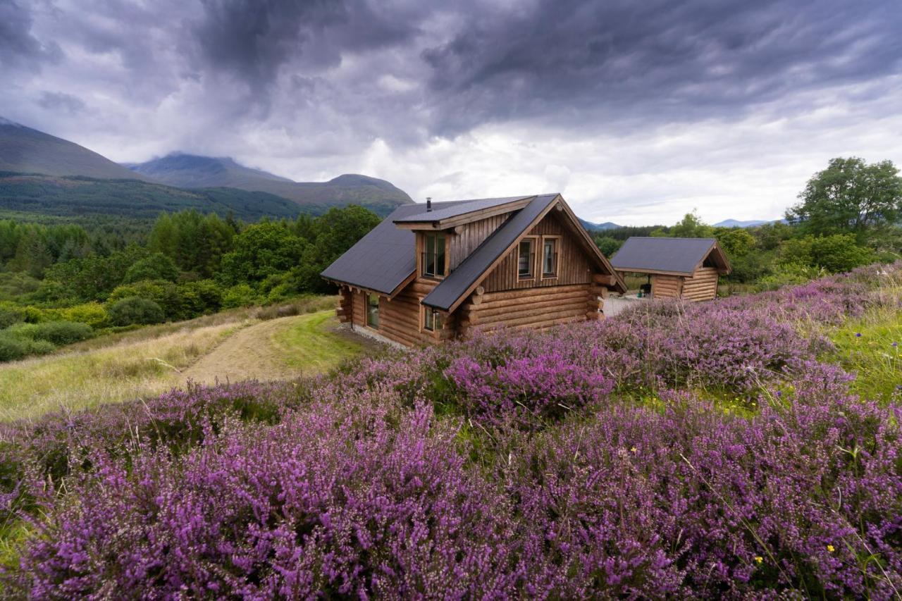 Wild Nurture Eco Luxury Offgrid Log Cabin 威廉堡 外观 照片