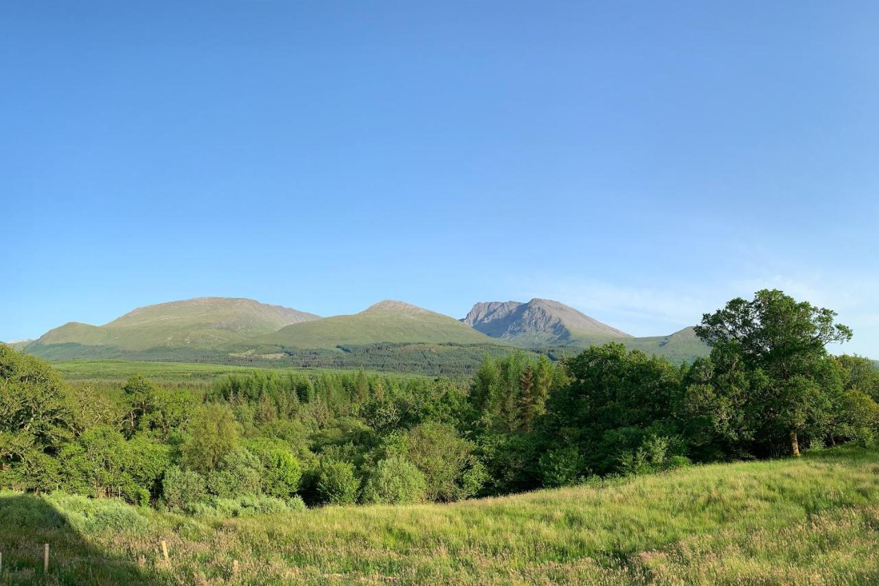 Wild Nurture Eco Luxury Offgrid Log Cabin 威廉堡 外观 照片