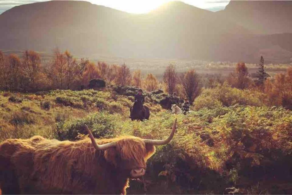 Wild Nurture Eco Luxury Offgrid Log Cabin 威廉堡 外观 照片