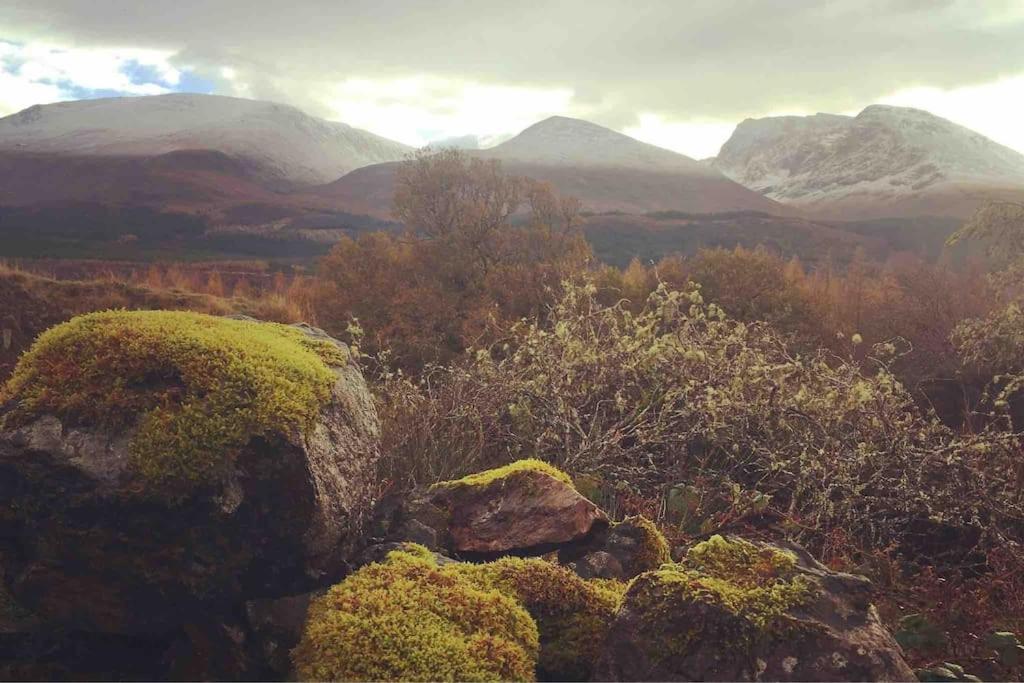 Wild Nurture Eco Luxury Offgrid Log Cabin 威廉堡 外观 照片