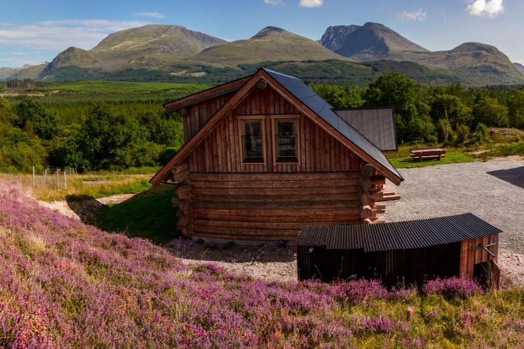 Wild Nurture Eco Luxury Offgrid Log Cabin 威廉堡 外观 照片