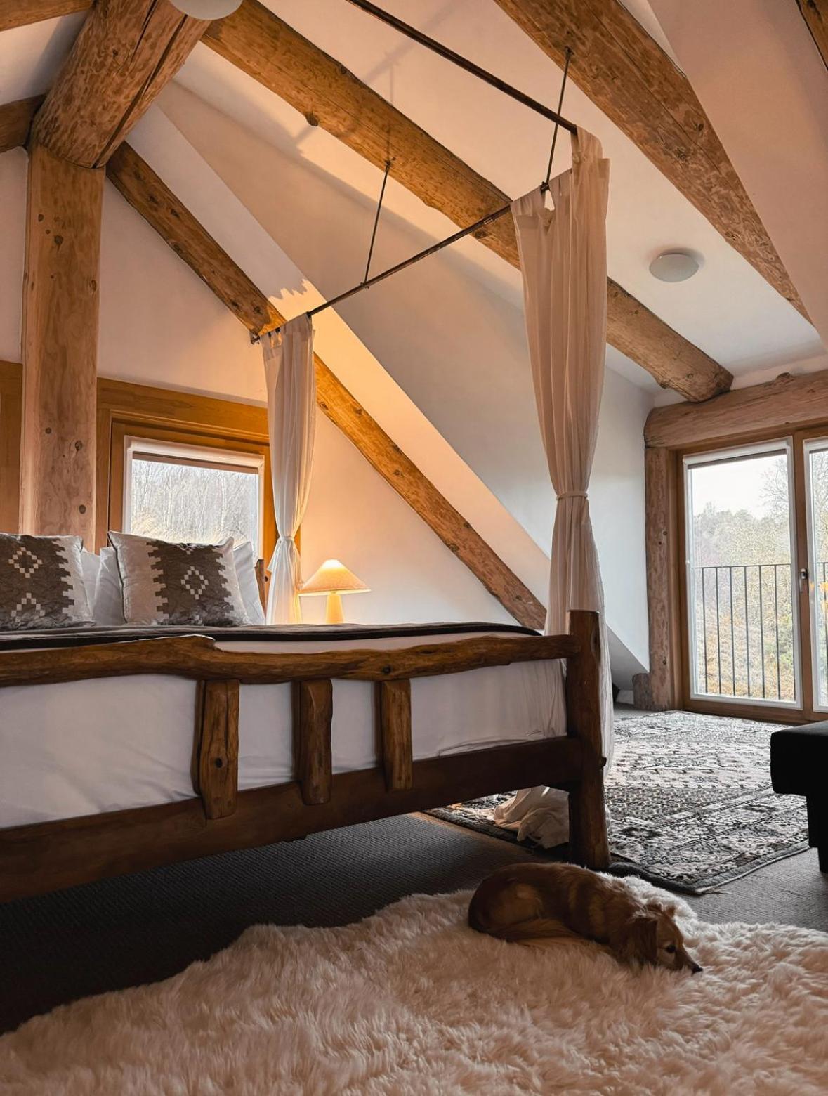 Wild Nurture Eco Luxury Offgrid Log Cabin 威廉堡 外观 照片