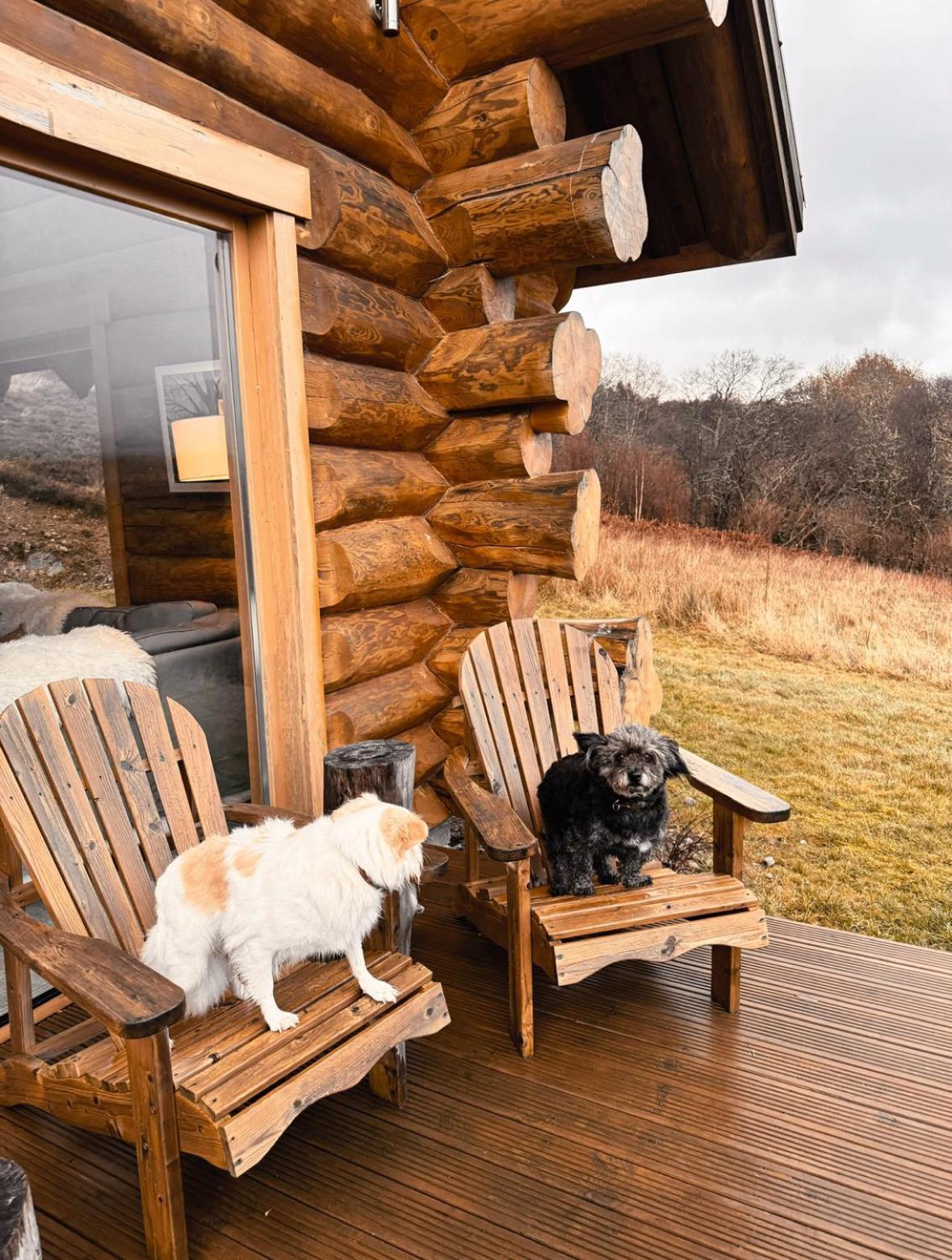 Wild Nurture Eco Luxury Offgrid Log Cabin 威廉堡 外观 照片