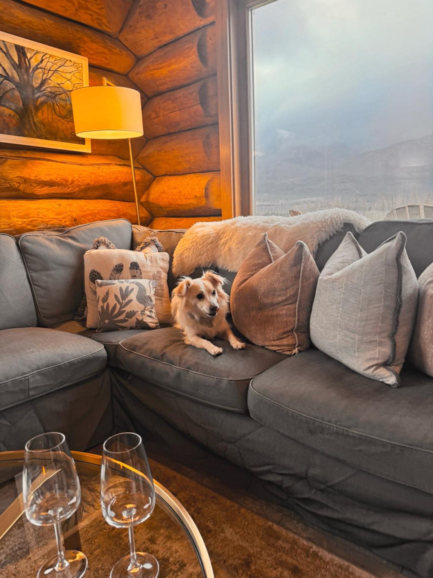 Wild Nurture Eco Luxury Offgrid Log Cabin 威廉堡 外观 照片